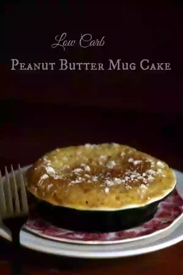 This low carb peanut butter mug cake is quick and easy - just 6.8 net carbs per serving. From Lowcarb-ology.com