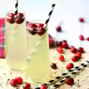 tropical mule recipe image - two cocktails with cranberries surrounding them