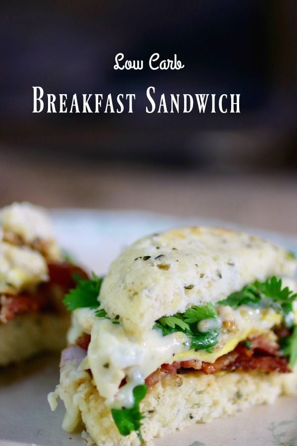 This easy low carb breakfast sandwich will keep you full all morning! Spicy southwestern style! From Lowcarb-ology.com